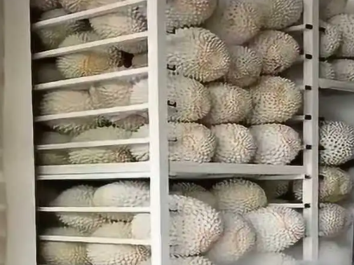榴蓮放在冷庫里環境溫度是多少℃