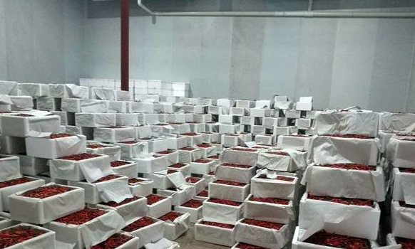 南京辣椒冷庫保鮮用什么技術方法