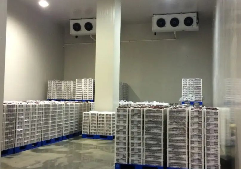 租別人冷庫和自己建造冷庫到底哪個會劃算一些