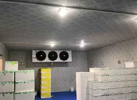 房屋內(nèi)建冷庫(kù)和噴涂建冷庫(kù)的注意事項(xiàng)