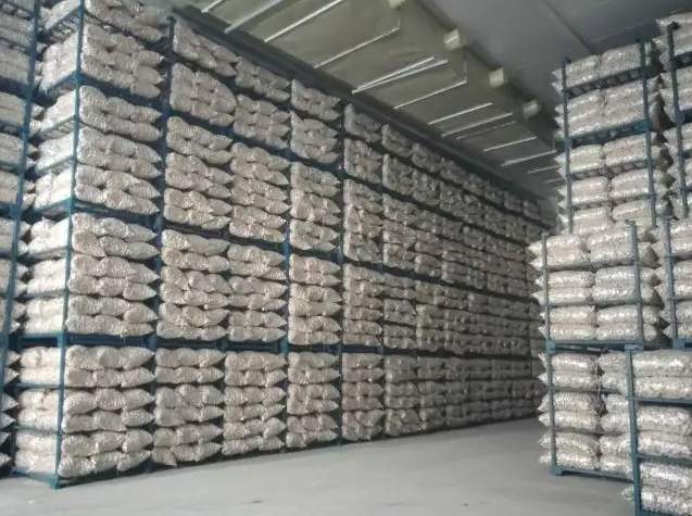 建一個(gè)500噸大蒜冷庫一平米需要多少錢