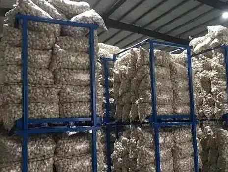 建一個(gè)500噸大蒜冷庫一平米需要多少錢