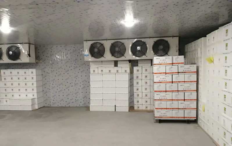 冷庫的安全操作，您知道哪些