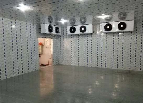 氣調冷庫和冷藏冷庫之間的區別