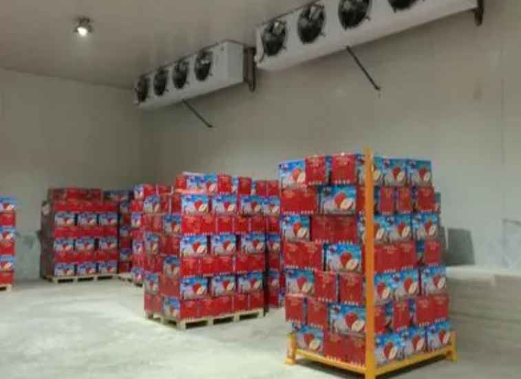 維修一個(gè)冷凍庫大約需要多少錢