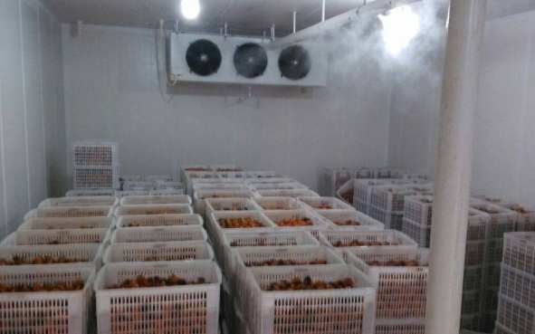 新建一個冷庫大概需要多少錢