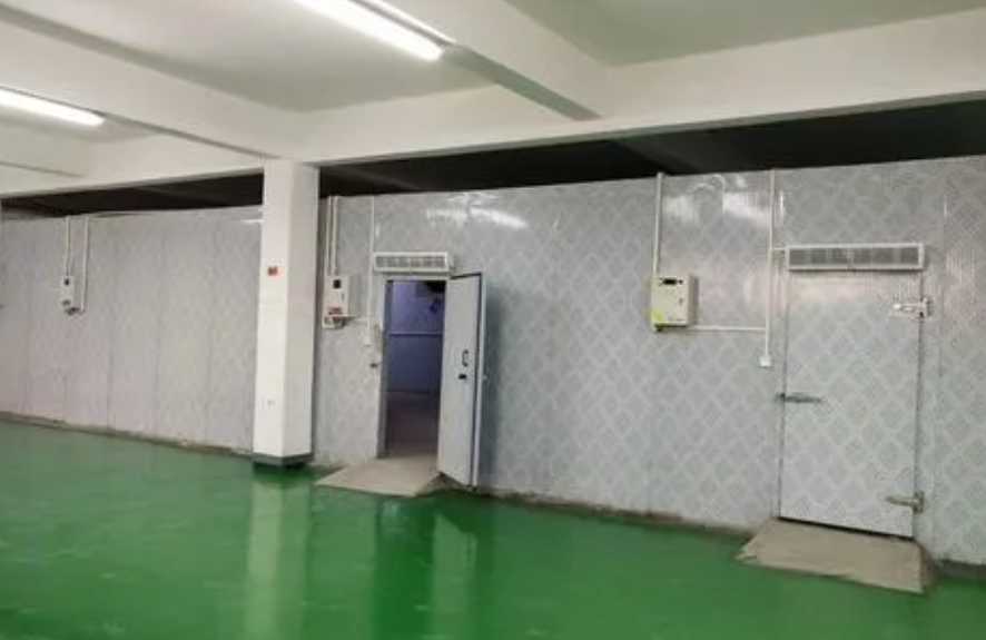 建一座冷庫要多少錢費(fèi)用