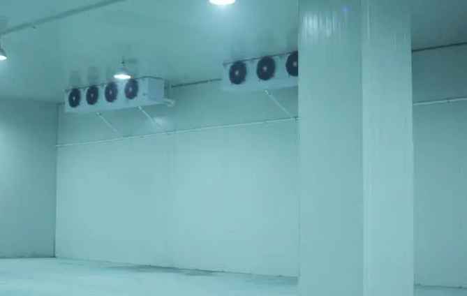 60平米低溫冷凍庫造價多少錢一平方