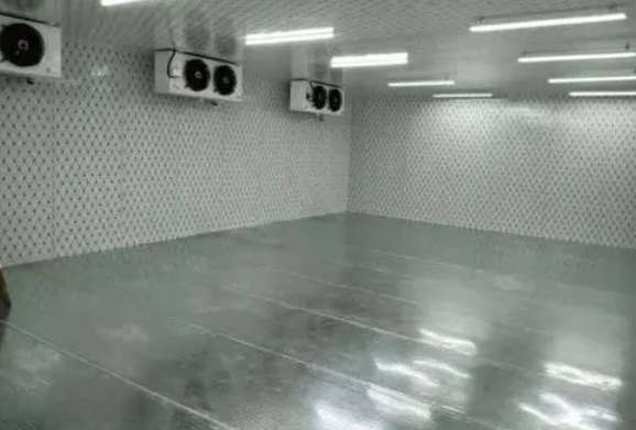 建300平米的冷庫需要多少錢