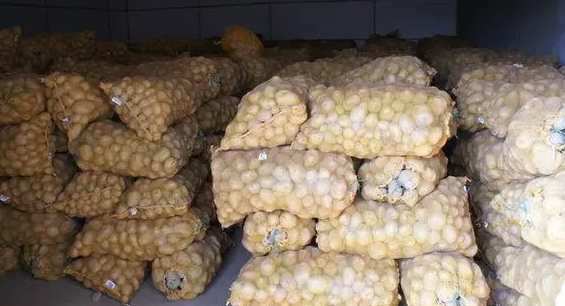 建造150平方米土豆冷庫(kù)需要多少錢(qián)