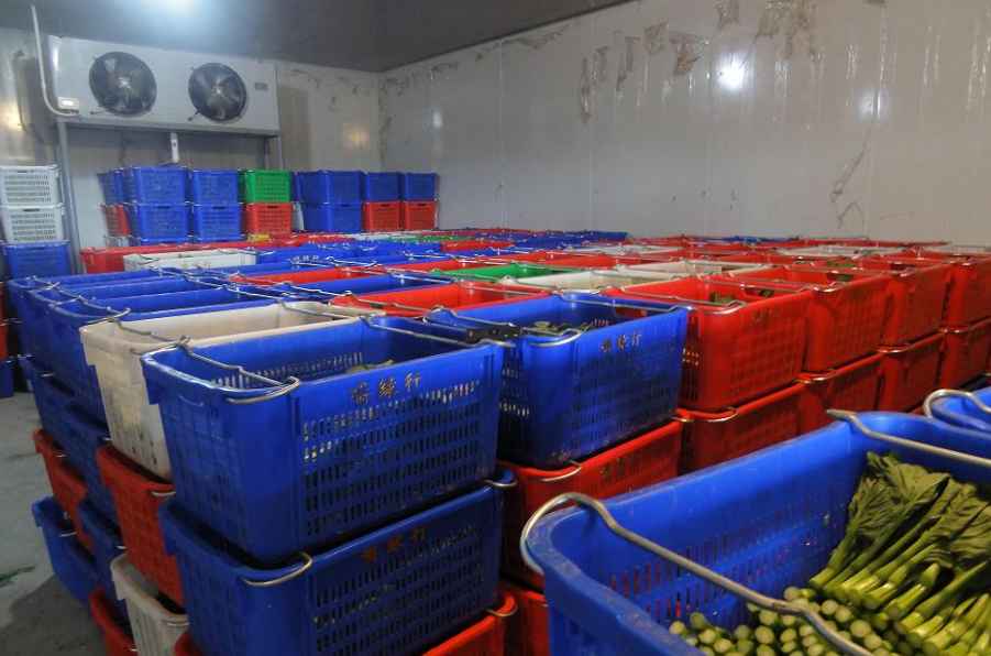 建設標準冷庫大概多少錢一平方米