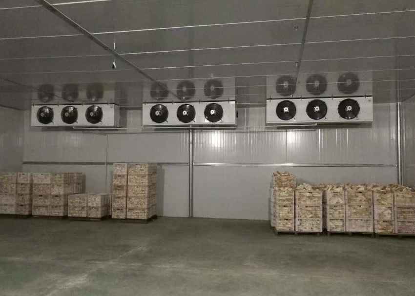 建個150平米冷庫費(fèi)用多少錢