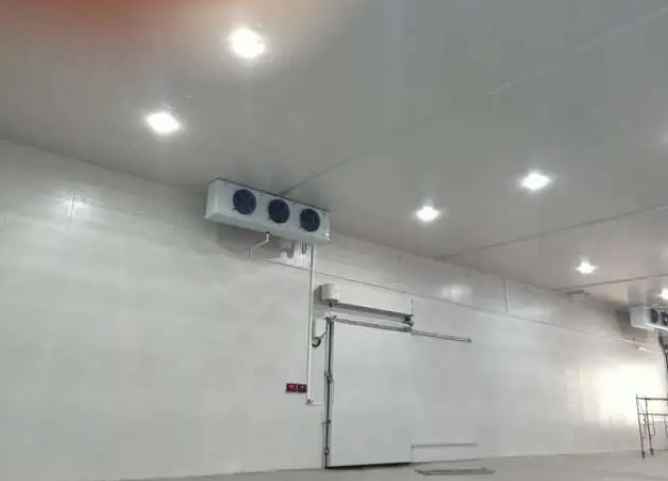 氣調冷庫要比保鮮冷庫貴嗎