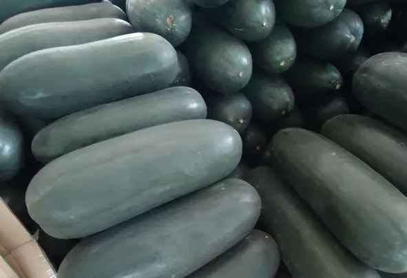 安裝30立方冬瓜冷庫(kù)多少錢