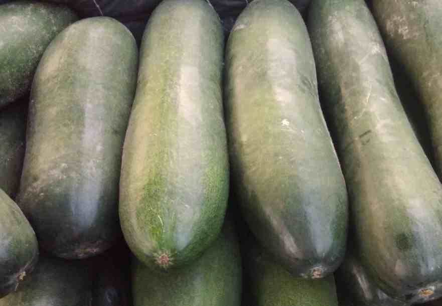 安裝30立方冬瓜冷庫(kù)多少錢