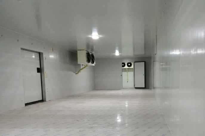 建設投資一個大型冷庫約要多少錢