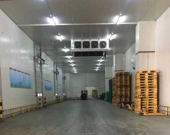 冷庫內的消防噴淋如何設計