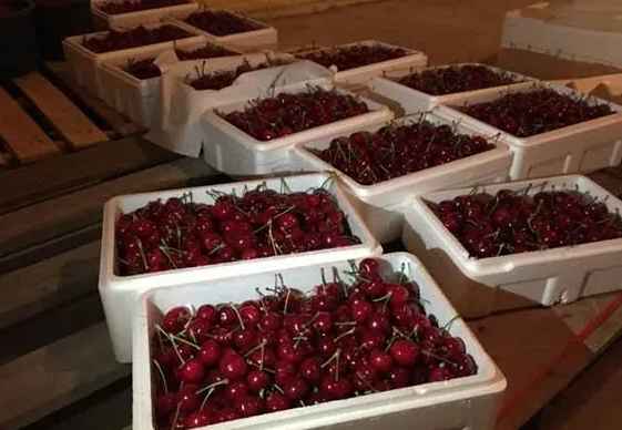 儲藏水果的冷庫造價是多少錢