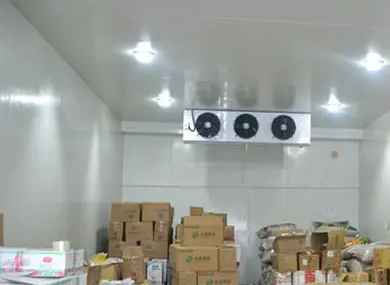 冷庫如何布局規劃比較好