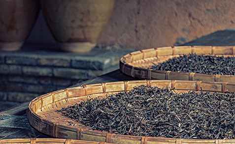 茶葉冷庫(kù)存茶葉能放多久