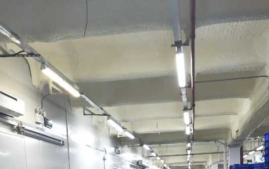 什么是預冷庫，大概多少錢