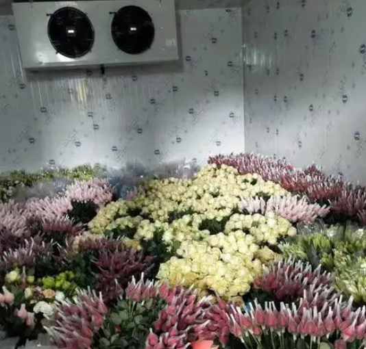 冷庫(kù)不制冷原因和處理方法