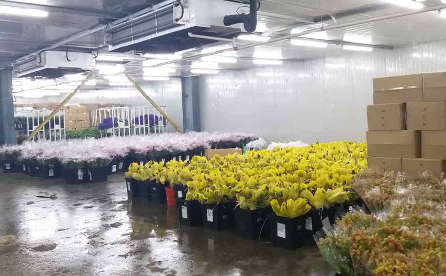 冷庫(kù)制冷工作原理是什么