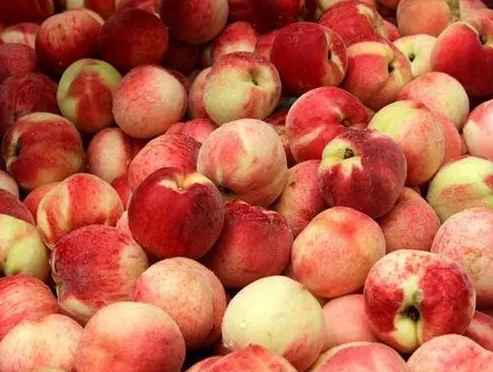 水蜜桃存貯在保鮮冷庫(kù)里能放幾天