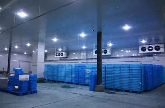 安裝冷庫廠家哪家？需要電話看這里！