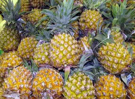 安裝菠蘿氣調(diào)冷庫多少錢