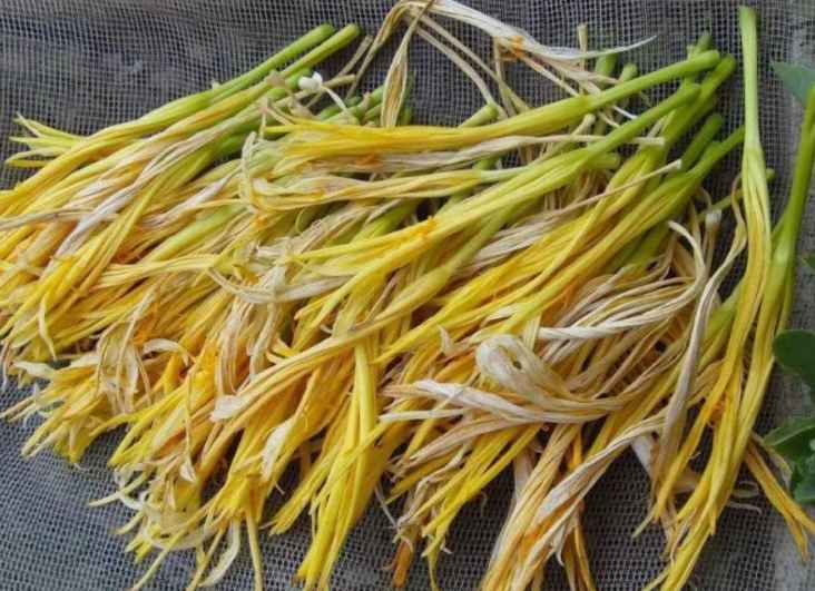 黃花菜冷庫存儲(chǔ)溫度大概多少度