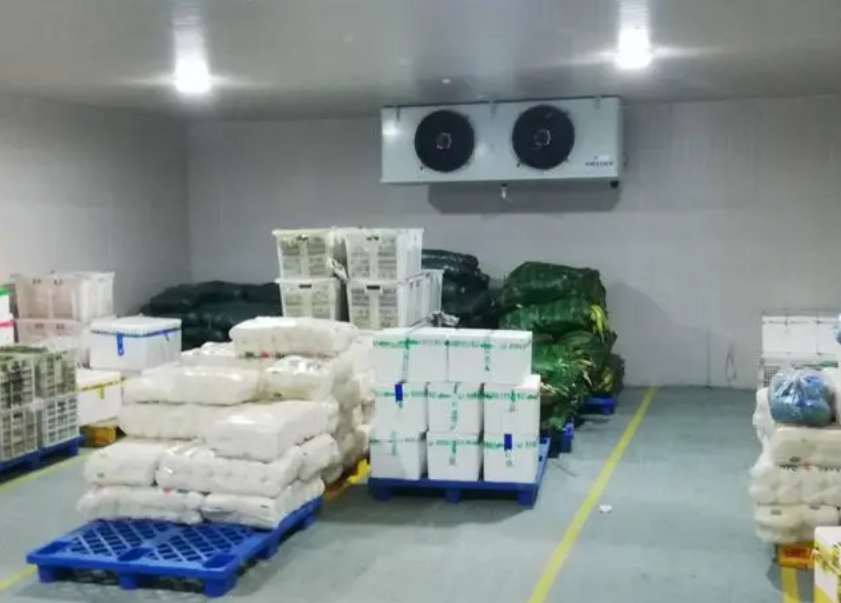 建一個(gè)水果氣調(diào)保鮮庫要多久完工