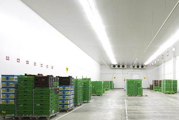 建300平方蔬菜冷庫需投資多少錢