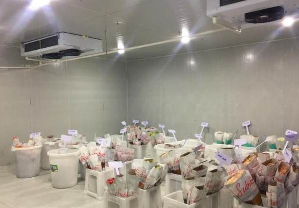 花卉小型冷庫建設(shè)多少錢一平方