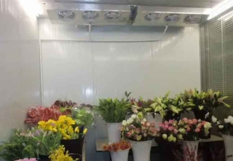 花卉小型冷庫建設(shè)多少錢一平方