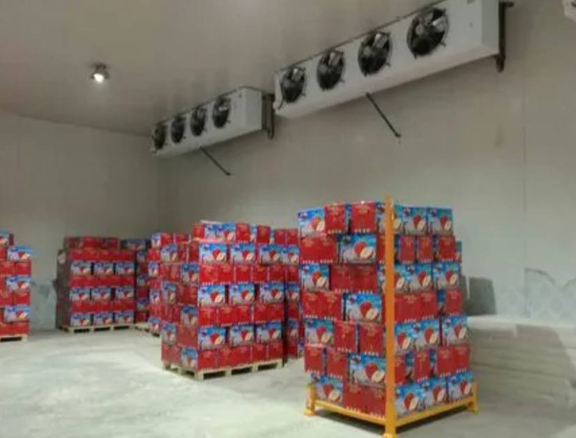 100平方冷庫能放多少噸果蔬