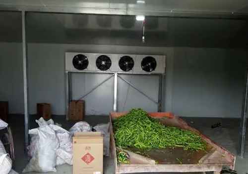 建300平方蔬菜冷庫需投資多少錢