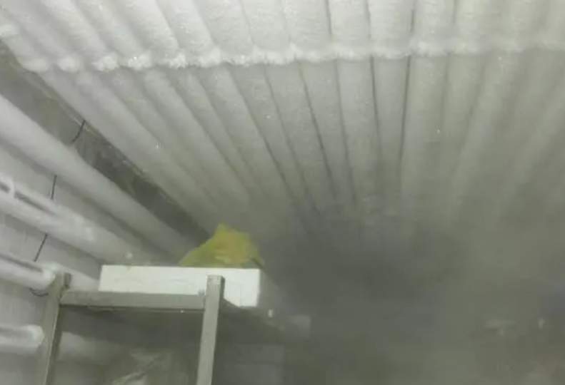 定制低溫速凍冷庫的成本大概是多少？