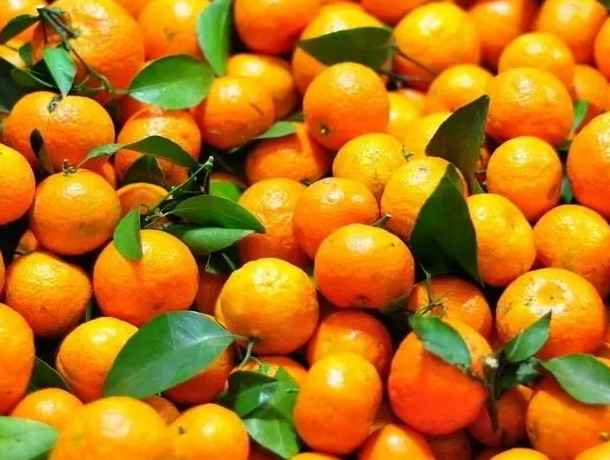 建一個(gè)50平米橘子冷庫要多少錢