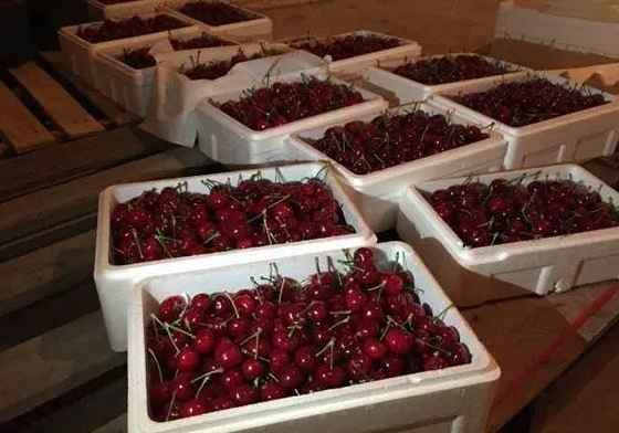  建600平米櫻桃氣調(diào)冷庫(kù)大概多少錢