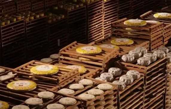 茶葉冷庫設備建造流程