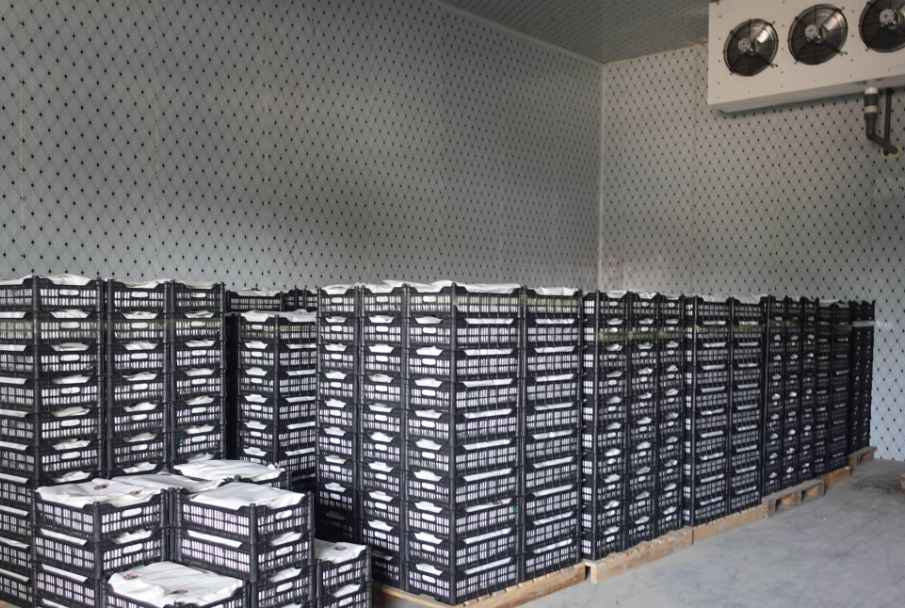 冷庫門密封效果維護和修理辦法？